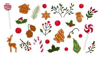 Set of New Year elements. Christmas flowers. Holly leaves and berries. Christmas plant for decoration vector