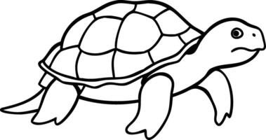 Illustration of Tortoise with Detailed Shell Design on Plain Background vector