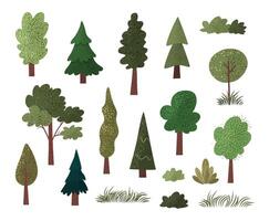 Set of different hand drawn trees, bushes and grass with textures. Isolated fir tree, oak tree, maple, poplar on white background. Nature icons for ecological designs. vector