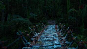 Exploring a rustic stone bridge in the lush Colombian rainforest at dusk video