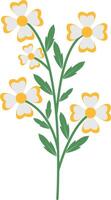 Spring Floral Flower with White Color vector