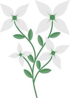 Spring Floral Flower with White Color vector