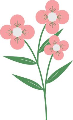 Summer Floral Blossom with Pink Color
