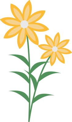 Spring Floral Blossom with Yellow Color
