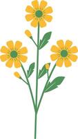 Spring Floral Blossom with Yellow Color vector