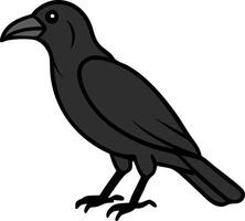 a black crow standing on a white background vector