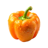 A pepper with water droplets on it and a transparent background png