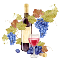 Watercolor red wine bottle with old paper label. Hand drawn clipart of alcoholic drink for party and event. Illustration for tasting, menu, cafe, bar, posters and wine list design. png