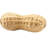 Peanut isolated on transparent background png