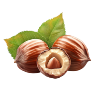 Hazelnut with Green Leaves and Nut On Transparent Background png