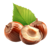Hazelnut with Leaves on Transparent Background png