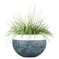 3d Rendering Of grass in planter on Transparent Canvas png