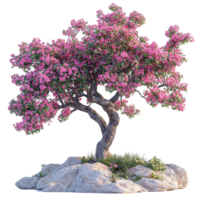 Tree with Pink Flowers on a Rock on Transparent Background png