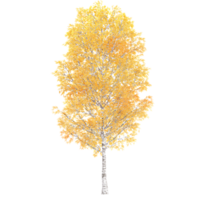 3d rendering of Autumn tree isolated on transparent Canvas png