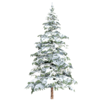 3d rendering of winter pine snowy tree isolated on transparent Canvas png