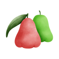 A vibrant illustration of t rose apples, one red and one green, accompanied by a lush green leaf, showcasing their smooth texture and unique bell shape. png