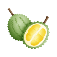 A vibrant digital painting of a durian fruit. The durian is depicted with its characteristic thorny exterior and creamy yellow flesh. The image evokes the tropical flavors and rich aroma associated. png