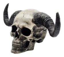 Skull with horns displayed on a plain background png