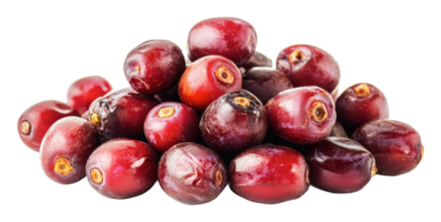Fresh coffee cherries from a sunny farm png