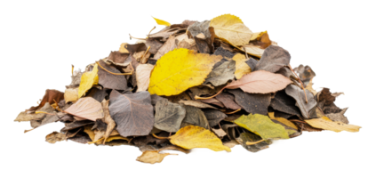 Pile of autumn leaves collected in a garden png