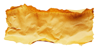 Textured brown paper with burnt edges on display png