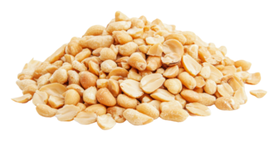Shelled peanuts arranged on a clean surface png