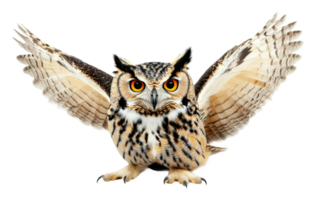 Majestic owl spreads its wings to take flight png