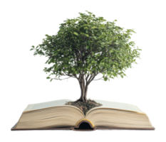 Tree growing from an open book symbolizing growth png