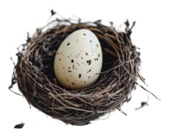 Speckled egg in a twig nest png