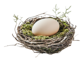 Nest with an egg resting on soft moss png