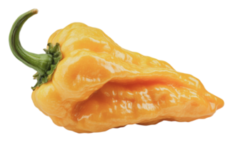 Hot yellow pepper with a unique shape on display png