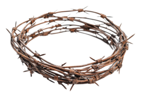Unique handmade crown made of barbed wire png