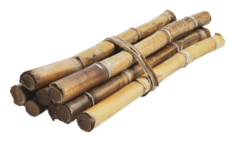Bundled sugar cane sticks ready for processing png