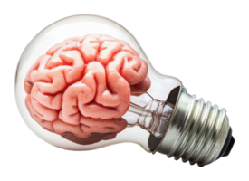 Light bulb with brain design symbolizes creativity png