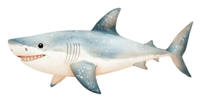 Friendly shark swimming in a colorful ocean png