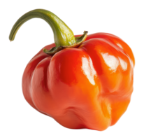 Vibrant red bell pepper with glossy surface png