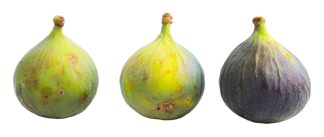 Different varieties of fresh figs on display png