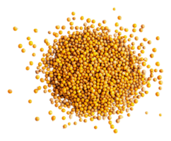 Mustard seeds scattered on a clean surface png