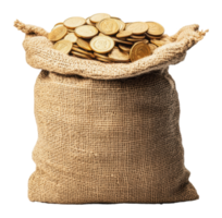 Burlap sack filled with gold coins at a market png