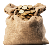 Hessian bag filled with golden coins on display png