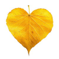 Isolated Yellow Aspen Leaf with Smooth Edges and Heart Patterns png