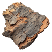 Detailed View of Cork Oak Bark with Rustic Charm and Textured Details on Transparent Background png