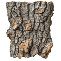 Natural Cork Oak Bark with Unique Cracks and Patterns png