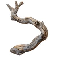 Decorative Driftwood Stick with Organic Patterns and Forms png