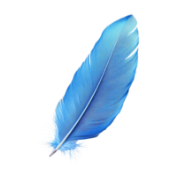 Intricate Blue Feather with Neatly Aligned Barbs and Downy Base Isolated on Transparent Background png