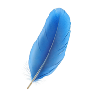 Single Blue Feather with Fluffy Base and Sharp Barbs on Transparent Background png