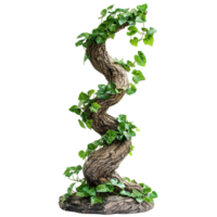 Climbing Vine with Green Foliage on Textured Tree Bark on Transparent Background png