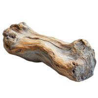 Rustic Driftwood with Distinct Grain Patterns and Curved Shape on Transparent Background png