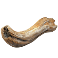 Natural Driftwood with Weathered Texture and Unique Form on Transparent Background png