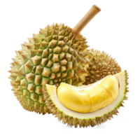 durian fruit, clipping path isolate on transparency background png